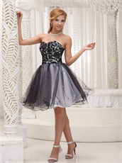 Little Black Lace Bodice Puffy Tulle Dress Group Purchase Discount