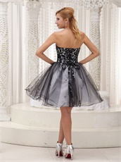 Little Black Lace Bodice Puffy Tulle Dress Group Purchase Discount