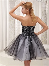 Little Black Lace Bodice Puffy Tulle Dress Group Purchase Discount