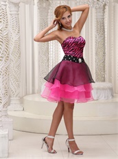 Sweetheart Fuchsia and Black Zebra Cocktail Dress Wear Attending Parties