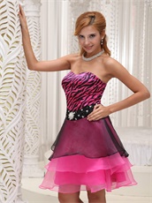 Sweetheart Fuchsia and Black Zebra Cocktail Dress Wear Attending Parties