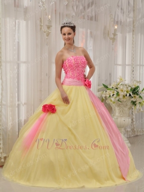 Strapless Appliqued Daffodil Skirt Quinceanera Dress With Pink Flowers