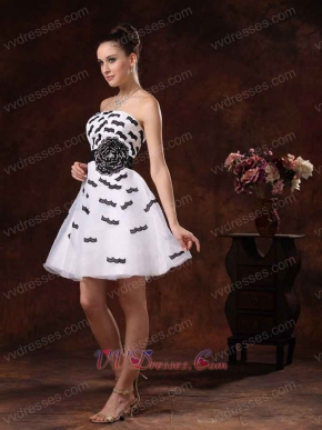 Likable Short White Prom Gowns Black Eyelash Ciliiform Lacework