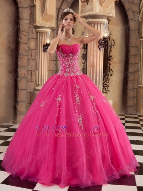 Sleeveless Embroidery Hot Pink Winter Quinceanera Gown