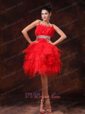 Amazing BodyU Feather Short Red Skirt Engagement Gowns Customize Made