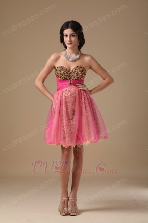 Leopard Printed Hot Pink Sweet 16 Dress By Designer