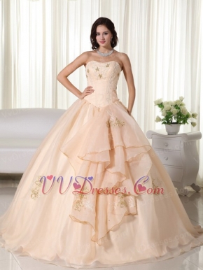 Champagne Organza Quinceanera Dress With Embroidery Emberllish Like Princess