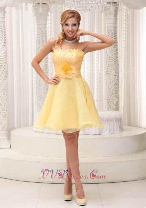 Daffodil Plicated Flower Decorate Organza Dress For Classmate Reunion On Sale