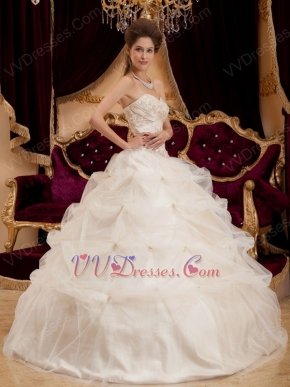 Appliqued Puffy Ball Dress Ivory Quinceanera Gown With Embroidery