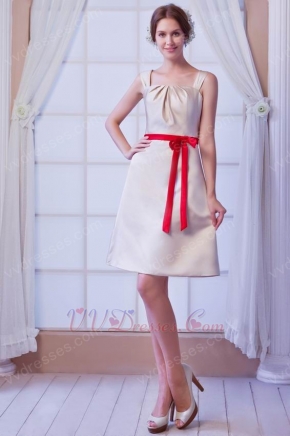 Square Ruched Bodice With Bow Champagne Short Prom Dress