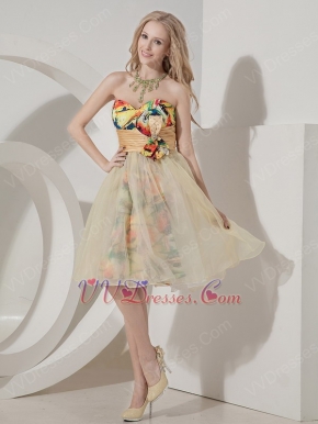 Colorful Sweetheart Bowknot Printed Fabric Little Prom Dress