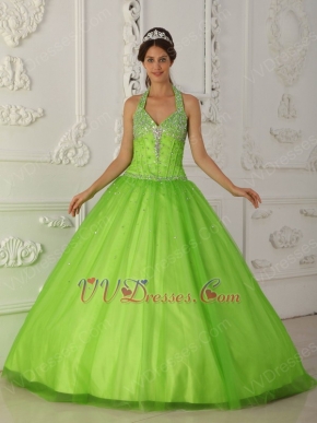 A-line Spring Green Tulle Quinceanera Dress By Designer