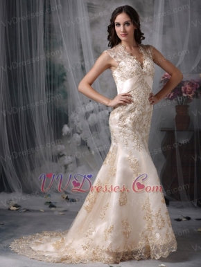 Mermaid Bridal Dress With Champagne Appliques Details Low Price