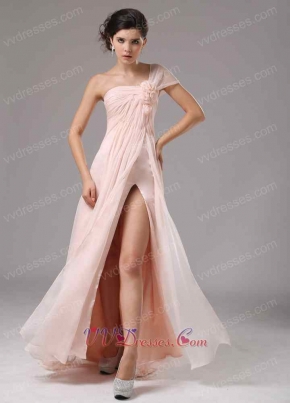 Blush Pearl Pink Chiffon Single Shoulder Dress To Attend Annual Meeting