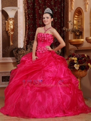 Sleeveless Fuchsia Organza Winter Warm Quinceanera Dress