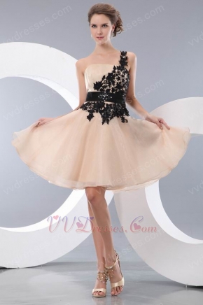 Left One Shoulder Champagne Short Prom Dress With Black Applique