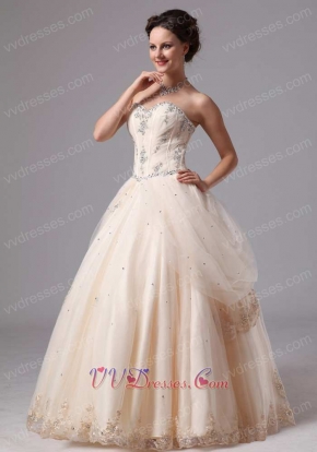 Pretty Pearl Champagne Puffy Ball Gown Skirt Side Hang Up