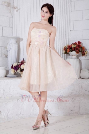 Sweetheart Champagne Graduation Short Dress With Applique