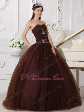 Chocolate Tulle Adult Ceremony Party Dress With Rhinestone