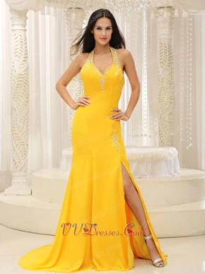 Sexy Open Back Celebrity Dreses For Beauty And The Beast Theme