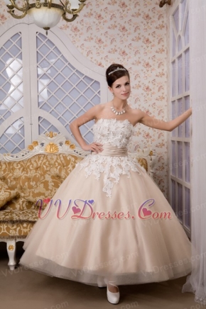 Strapless Ankle-length Tulle Appliques Champagne Quince Dresses Like Princess