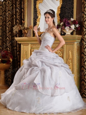 Sweetheart Grey Organza Skirt For Quinceanera Birthday Party