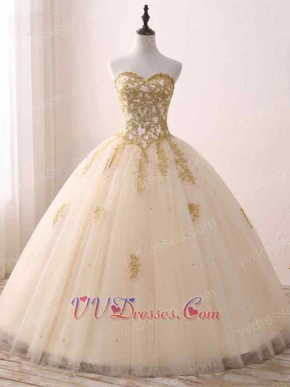 Princess Like Floor Length Champagne Gauze Quinceanera Ball Gowns Gold Applique 2019