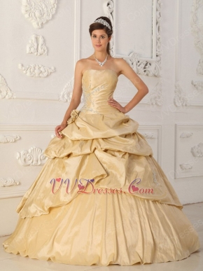 Side Applique Champagne Handmade Quinceanera Dress to Girl