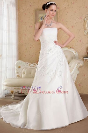 Strapless A-line 2014 New Style Wedding Dress With Appliques