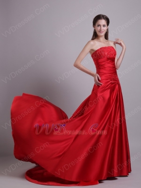 A-line Fishtail Scarlet Celebrity Dress Design With Embroidery