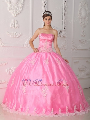 Lovely Strapless Ball Gown Floor Length Pink Skirt