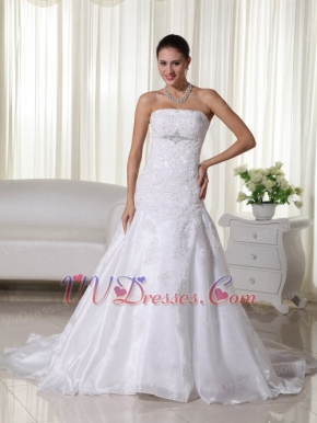 Mermaid Strapless Lovely Wedding Dress Appliques Decorate Low Price