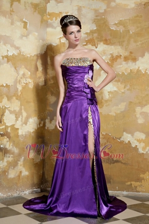 Purple Strapless Leopard Printed Fabric Inside Beaded Party Dresses Inexpensive