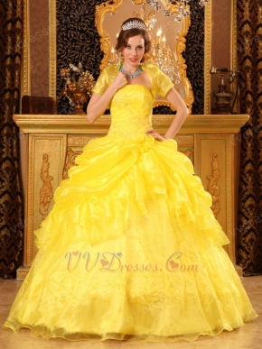 Bright Yellow Embroidery Quinceanera Dress With Jacket