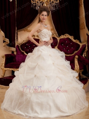 Appliqued Puffy Ball Dress Ivory Quinceanera Gown With Embroidery