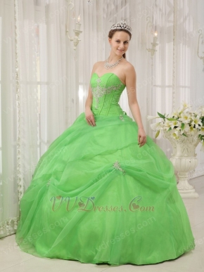 Pretty Quinceanera Gown Made By Spring Green Organza