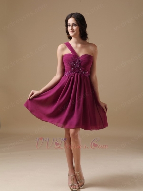 Plum One Shoulder Bridesmaid Dress For 2014 Wedding