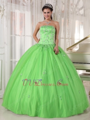 Cheap Spring Green Young Women Quinceanera Gown Dress