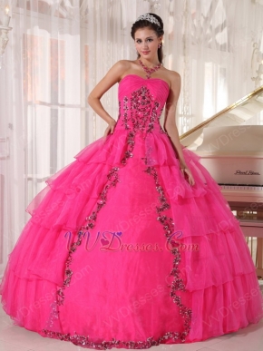 Deep Pink Organza Paillette Puffy Skirt Quinceanera Girls Dress