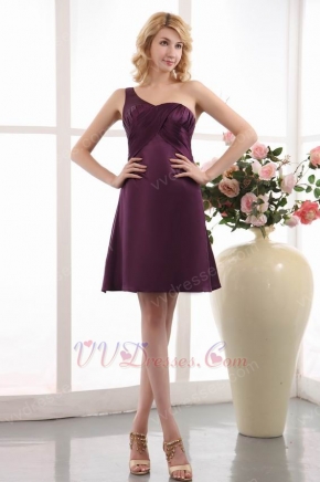 One Shoulder Purple Mother Of The Bride Beach Dress