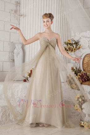 Custom Made Front Drap Champagne Dress To Evening Wear