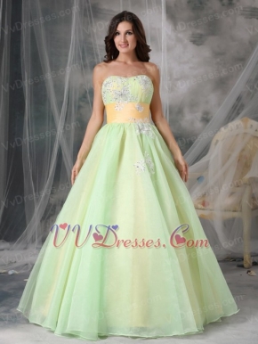 Lovely Organza Appliqued Light Kelly Prom Dress With Belt Inexpensive