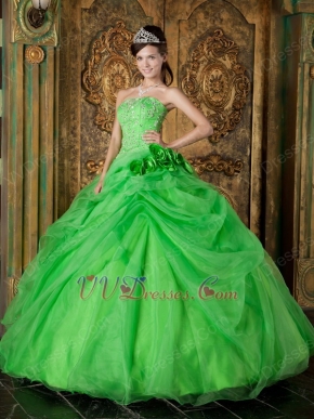 Side Handmade Flowers Decorate Spring Green Quinceanera Dress