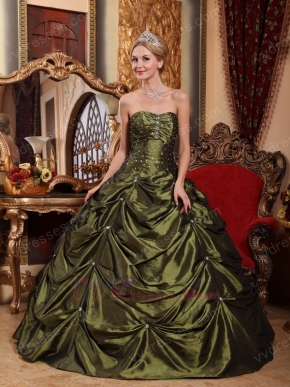 Olive Green Floor-length Taffeta Fabric Quinceanera Dress