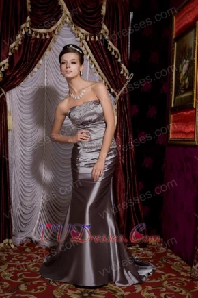 Grey Column Strapless Elastic Woven Satin Night Club Dress Night Club