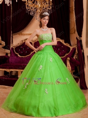 Spring Green Tulle Floor Length Quinceanera Dress By Designer