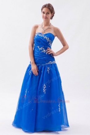 Pretty Ultramarine Organza Floor Length Prom Dress With Embriodery