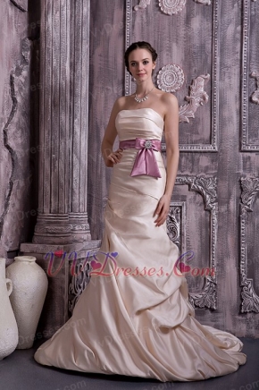 Prom Dresses UK Champagne Prom Celebrity Gowns With Lilac Belt Inexpensive