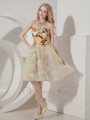 Colorful A-line Sweetheart Bowknot Printed Sweet Sixteen Dress