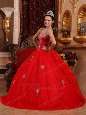 Appliqued Corset Back Scarlet Girls Birthday Quinceanera Dress